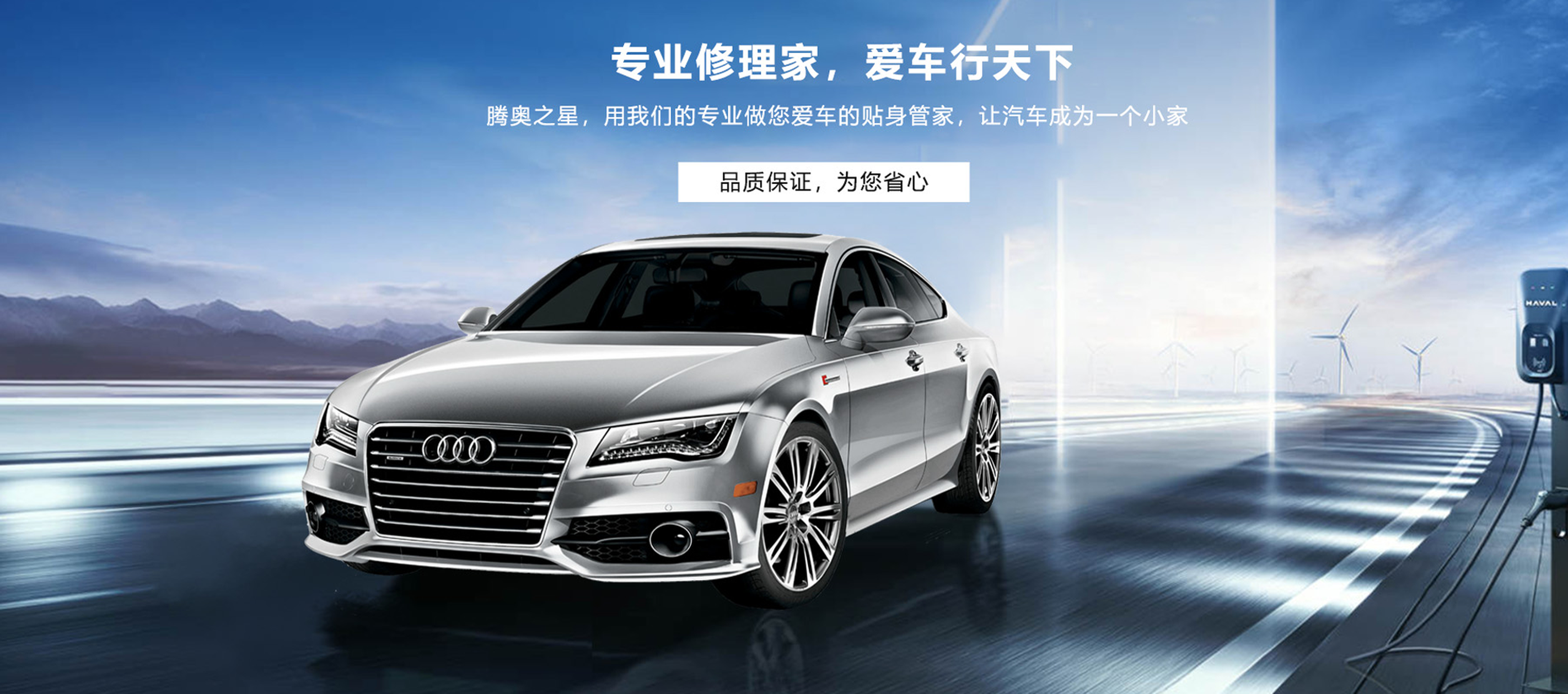 專(zhuān)業(yè)修理